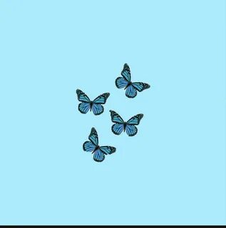 aesthetic butterfly 🦋 wallpaper Blue butterfly wallpaper, Li