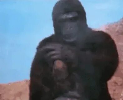 Middle Finger Monkey GIF - Middle Finger Monkey Gorilla - Di