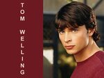 Tom Welling Wallpaper Free HD Backgrounds Images Pictures