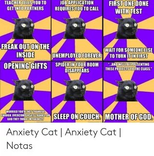 🐣 25+ Best Memes About Anxiety Cat Meme Anxiety Cat Memes