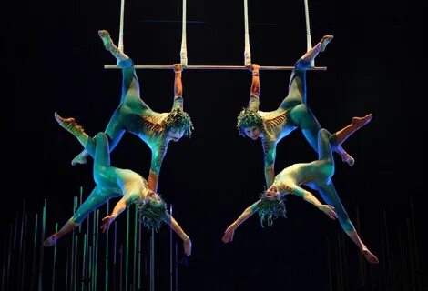Circus Trapeze Acts Related Keywords & Suggestions - Circus 