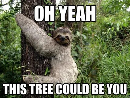 oh yeah this tree could be you baby - Sinister Sloth - quick