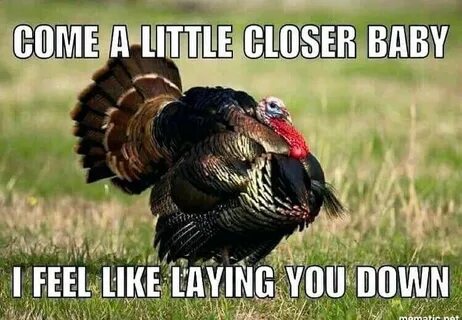 Who’s ready for turkey season? Hunting memes, Hunting humor,