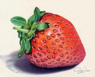 This strawberry was created with Prismacolour Pencils on Wat