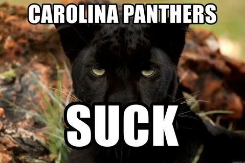 Carolina Panthers Suck - Amused Panther Meme Generator