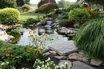 How to Make a Natural Pond in Your Backyard
