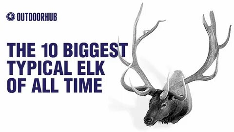 The 10 Biggest Typical Elk of All Time - YouTube