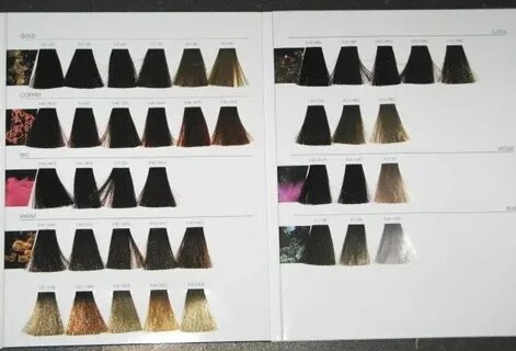 L'Oreal INOA Hair Color Swatch Book New Full Hair color swat