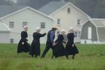 Amish prove clean living pays off - UPI.com