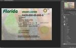 Florida driver license Psd Template Mr Verify
