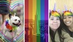 Want to Show Your Support for Pride on Facebook? Here's How!