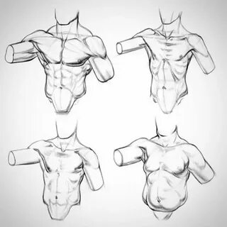 proko anatomy chest drawing course #anatomydrawing Human ana