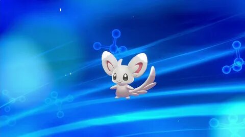 pokemon shield how to evolve minccino into cinccino - YouTub