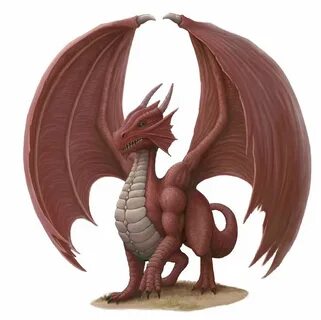 Wyrmling Red Dragon by SHAWCJ on deviantART Red dragon, Fant