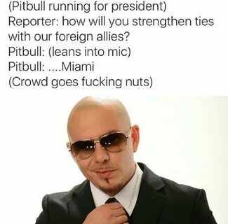 Still Cracking " Daily Dose Of HumorPitbull For President - 