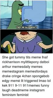 THEY RE SO PERFECT She Got Tummy Tits Meme Fnaf Rickharrison