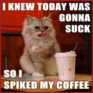 spiked my coffee funny quotes memes quote meme lol funny quo