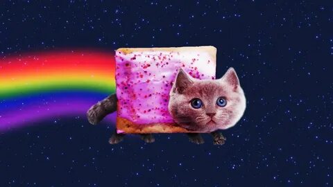 Nyan Cat Мемопедия вики Fandom