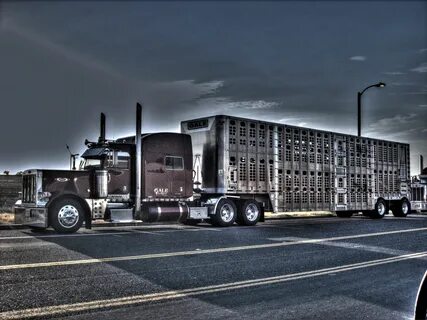 Pin by Eric Stroud on Epic Truck Photography Big trucks, Pet