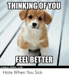 THINKING OFYOU FEEL BETTER Puppy memeCom Hate When You Sick 