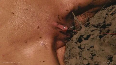 Well Deserved Ant Torture - Bondage Porn Jpg