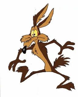 Wile E Coyote wallpapers, Cartoon, HQ Wile E Coyote pictures