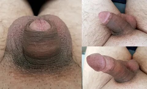 Is my dick small test