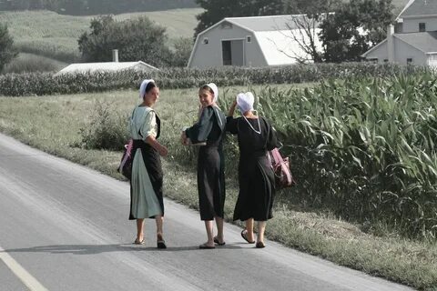 Amish Girls Amish, Amish culture, Amish family