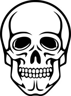 Amud Skull Clip Art Black And White Skeleton - Clip Art Libr