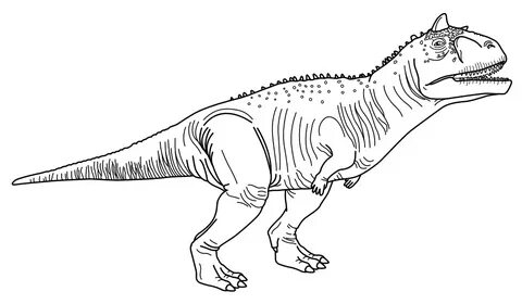 Carnotaurus Dinosaur Coloring Pages Mclarenweightliftingenqu