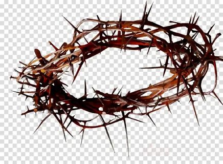 Free 324 Transparent Crown Of Thorns Svg SVG PNG EPS DXF Fil