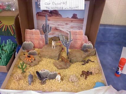 Pictures of North 5th Grade Ecosystems projects, Biomes proj