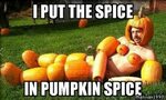 i put the spice in pumpkin spice pumpkin meme - just in time
