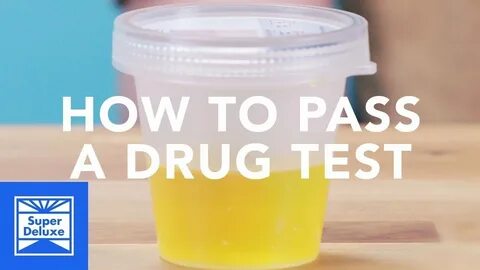 How To Pass a Drug Test pt. 2 🌲 💊 💉 - YouTube