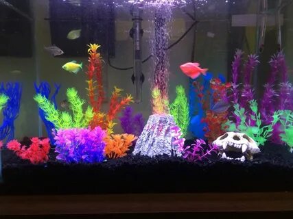 My 20 gallon Glofish tank! Fish tank decorations, Fish tank 