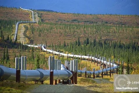 The Trans Alaska Oil Pipeline Stock Photo