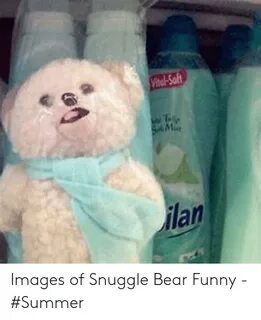 Images of Snuggle Bear Funny - #Summer Funny Meme on awwmeme