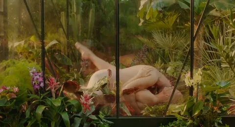 Dutch Secret Garden Nude