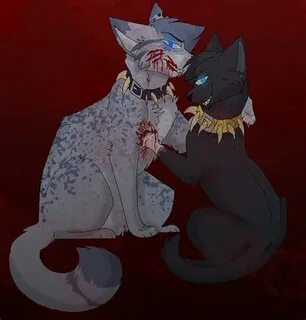 Warrior Cats Scourge And Ashfur All in one Photos
