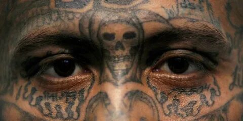 Reason Drug Cartel Members Get Tattoos