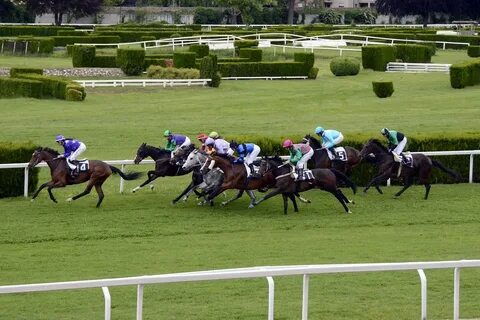 The Grand National - Bolesworthclassic.co.uk