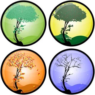 4 seasons tree clipart - image #17