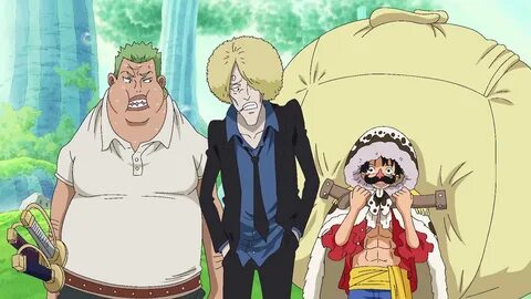One Piece 520 Related Keywords & Suggestions - One Piece 520