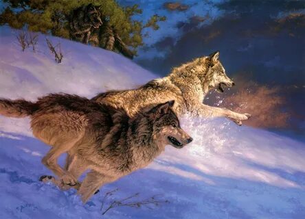 Running Wolf Wallpapers - Wallpaper Cave