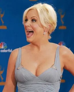 Amy Poehler Bikini Pictures (31 Hot & Sexy Amy's Swimsuit Ph