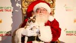 Free download grumpy cat merry christmas MEMES 1500x1000 for