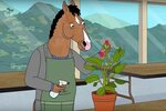 Aaron Paul Reveals Netflix Canceled 'BoJack Horseman'