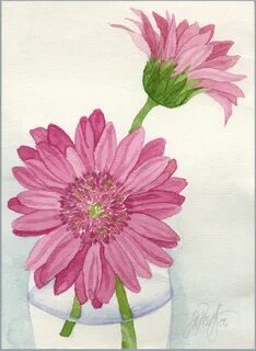 Gerber Daisy Drawing - Floss Papers