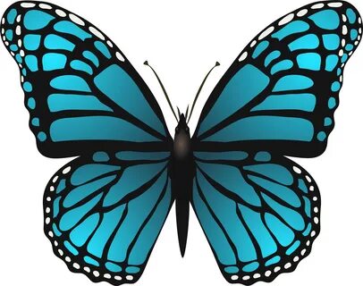 Library of blue butterfly images clipart library download pn