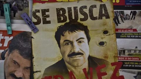 Mexico Prison Boss Sacked After El Chapo Escape World News S